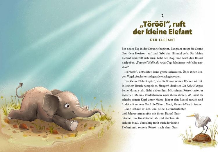Produktbild: Gute Nacht, kleiner Koala &ndash; 20 tierische Einschlafgeschichten
