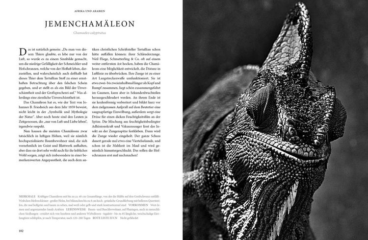 Produktbild: Reptilia