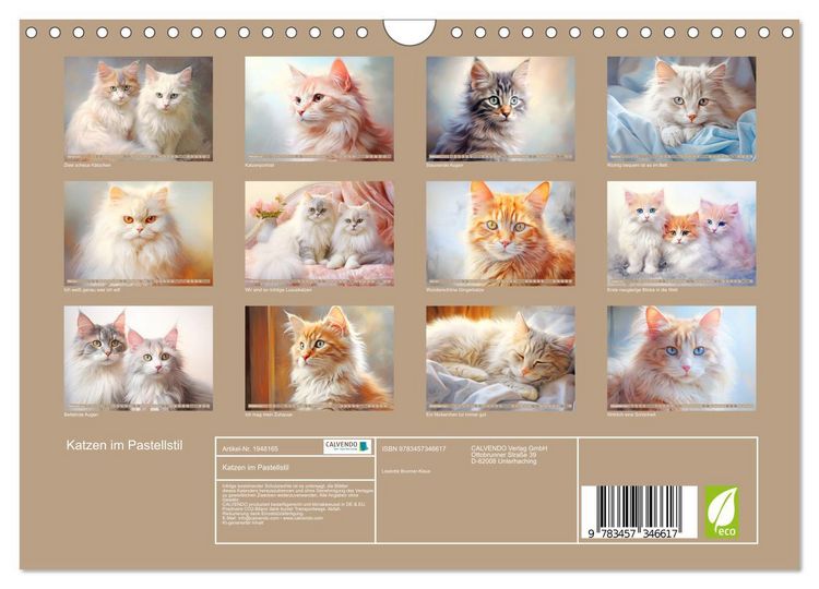Produktbild: Katzen im Pastellstil (Wandkalender 2026 DIN A4 quer), CALVENDO Monatskalender