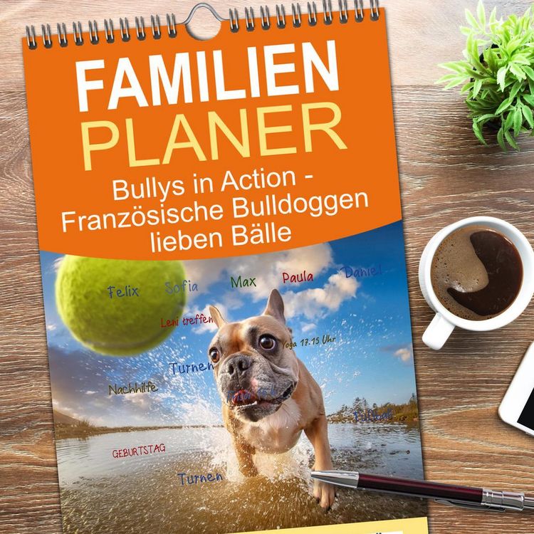 Produktbild: Familienplaner 2026 - Bullys in Action - Franz&ouml;sische Bulldoggen lieben B&auml;lle mit 5 Spalten (Wandkalender, 21 x 45 cm) CALVENDO
