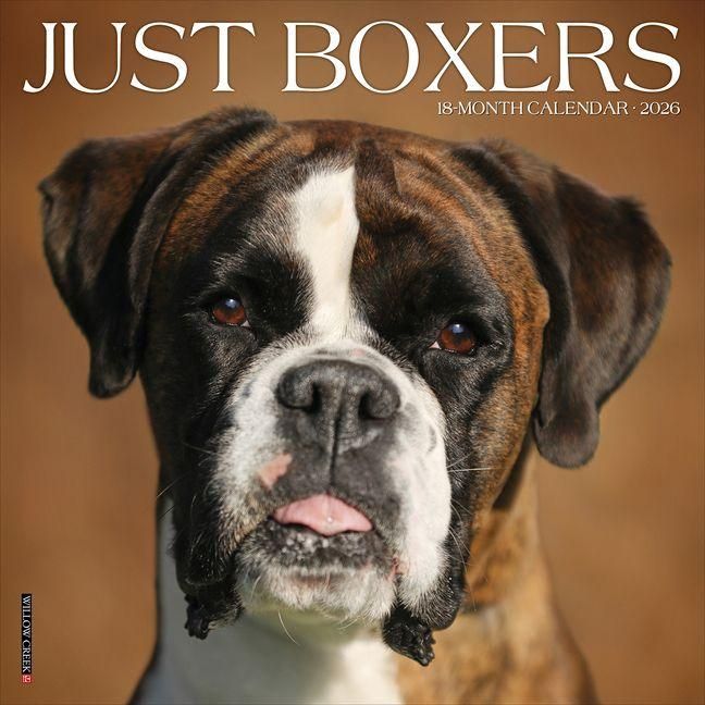 Produktbild: Boxers 2026 Wall Calendar