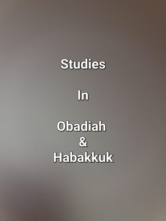 Produktbild: Studies In Obadiah & Habakkuk