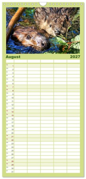 Produktbild: Familienplaner 2027 - Das Leben der Biber mit 5 Spalten (Wandkalender, 21 x 45 cm) CALVENDO