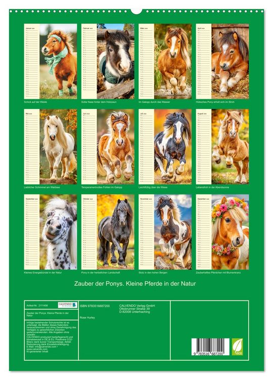 Produktbild: Zauber der Ponys. Kleine Pferde in der Natur (hochwertiger Premium Wandkalender 2026 DIN A2 hoch), Kunstdruck in Hochglanz