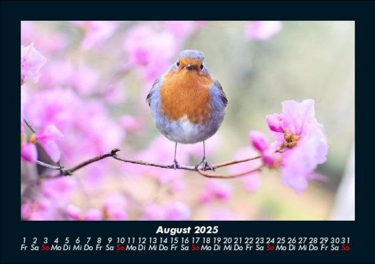 Produktbild: Vogelparadies 2025 Fotokalender DIN A5