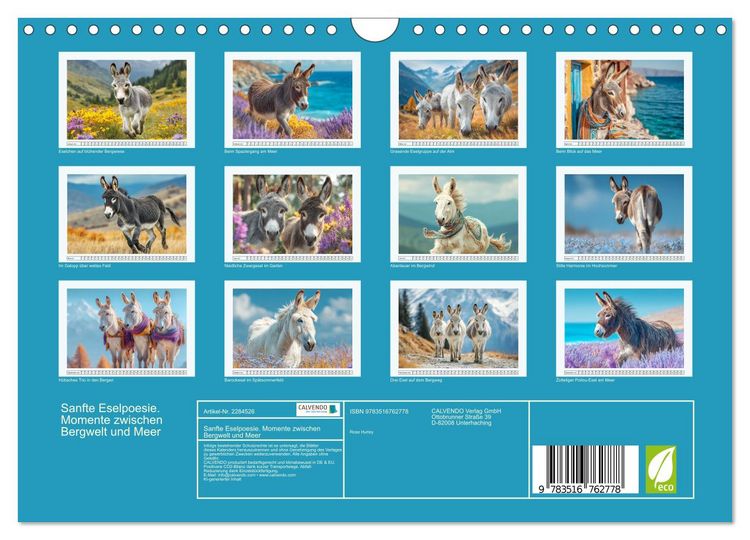 Produktbild: Sanfte Eselpoesie. Momente zwischen Bergwelt und Meer (Wandkalender 2027 DIN A4 quer), CALVENDO Monatskalender