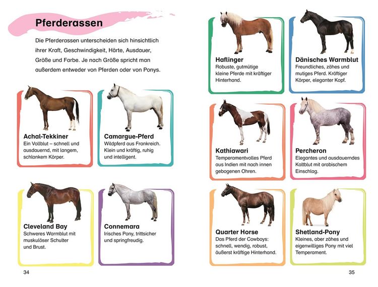Produktbild: SUPERLESER! Emma und der Pony-Klub