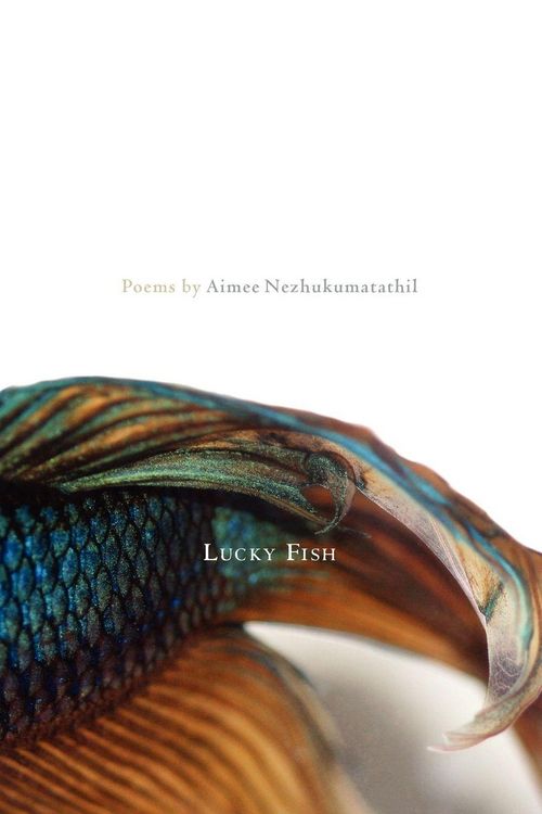 Produktbild: Lucky Fish