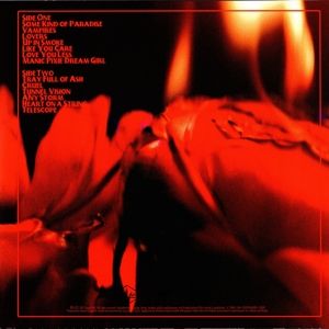 Produktbild: Some Kind of Paradise