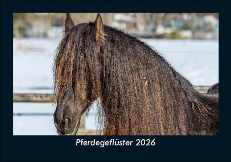 Produktbild: Pferdegefl&uuml;ster 2026 Fotokalender DIN A5