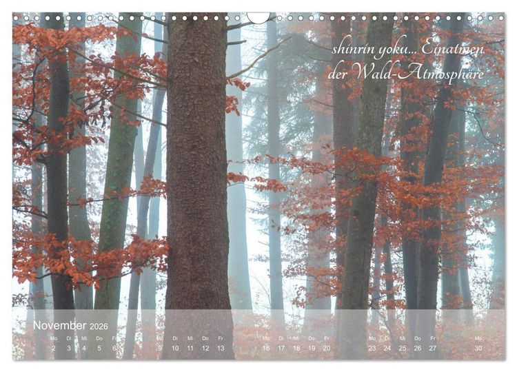Produktbild: Shinrin yoku - Waldbaden 2026 (Wandkalender 2026 DIN A3 quer), CALVENDO Monatskalender
