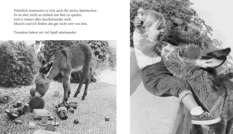 Produktbild: Mein Esel Benjamin (Mini-Ausgabe)