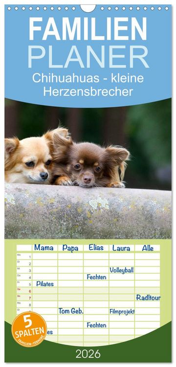 Produktbild: Familienplaner 2026 - Chihuahuas - kleine Herzensbrecher mit 5 Spalten (Wandkalender, 21 x 45 cm) CALVENDO