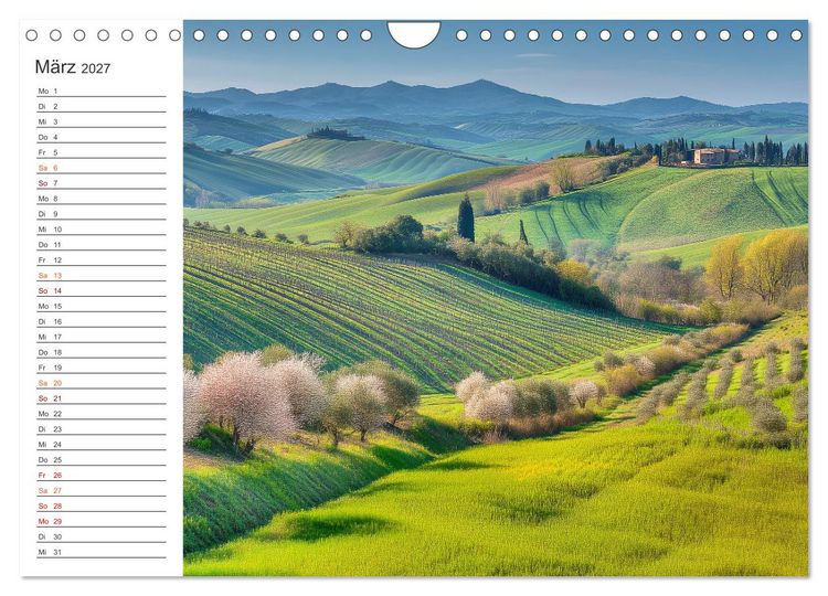 Produktbild: Zwischen Reben und Himmel (Wandkalender 2027 DIN A4 quer), CALVENDO Monatskalender