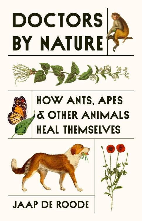 Produktbild: Doctors by Nature