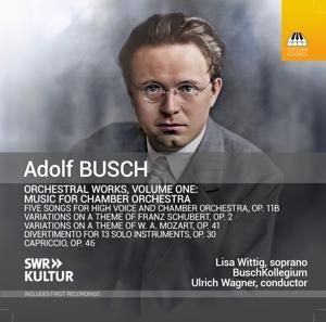 Produktbild: Orchesterwerke,Vol. 1