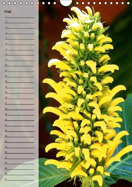 Produktbild: Blank, R: Fleurs tropicales / calendrier anniversaire (Calen