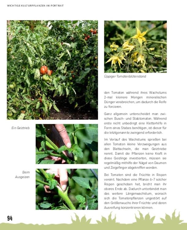 Produktbild: Gro&szlig;e Ernte aus kleinen G&auml;rten