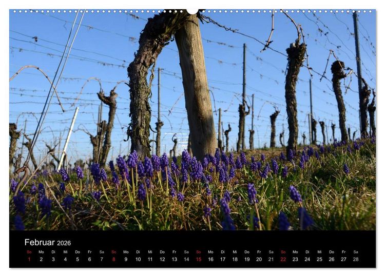 Produktbild: W.EINBLICK (Wandkalender 2026 DIN A2 quer), CALVENDO Monatskalender
