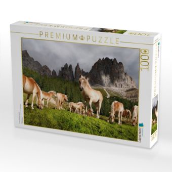 Produktbild: CALVENDO Puzzle Junge Haflingerherde | 1000 Teile Lege-Gr&ouml;&szlig;e 64x48cm Foto-Puzzle f&uuml;r gl&uuml;ckliche Stunden