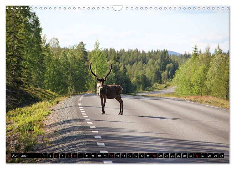 Produktbild: Sommer in Schwedens Lappland (Wandkalender 2026 DIN A3 quer), CALVENDO Monatskalender