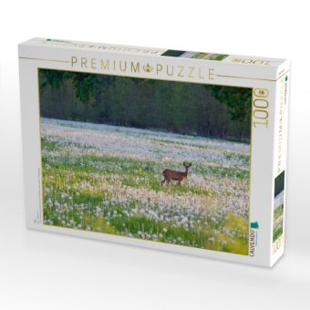 Produktbild: CALVENDO Puzzle Reh | 1000 Teile Lege-Gr&ouml;&szlig;e 64x48cm Foto-Puzzle f&uuml;r gl&uuml;ckliche Stunden