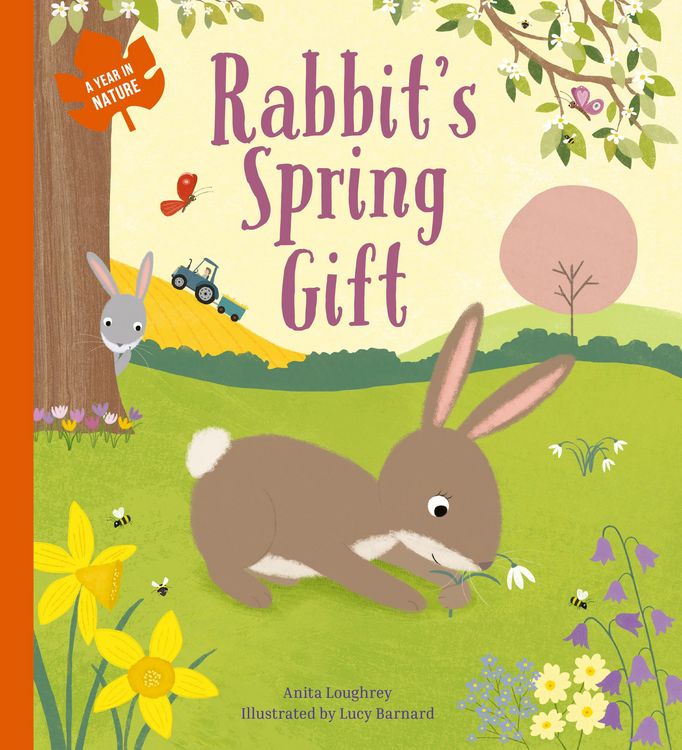 Produktbild: Rabbit's Spring Gift