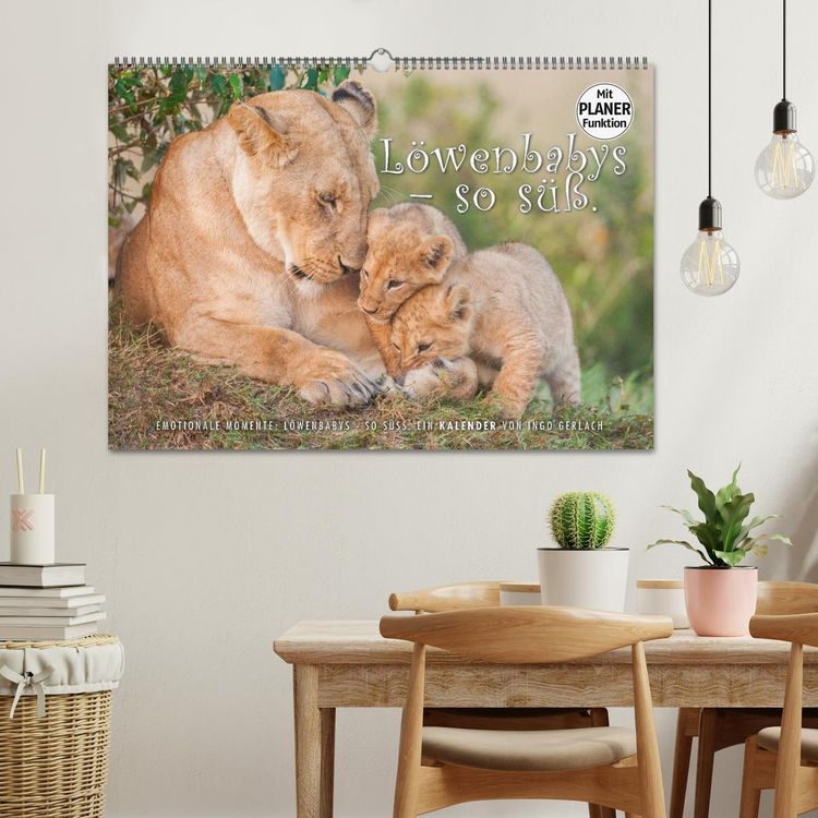 Produktbild: Emotionale Momente: L&ouml;wenbabys - so s&uuml;&szlig;. (Wandkalender 2026 DIN A2 quer), CALVENDO Monatskalender