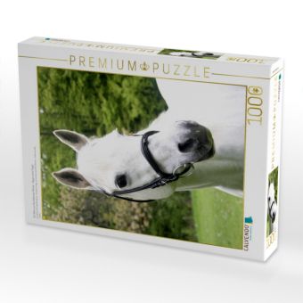 Produktbild: CALVENDO Puzzle Ein Motiv aus dem Kalender Pferde ... fliegen ohne Fl&uuml;gel | 1000 Teile Lege-Gr&ouml;&szlig;e 64x48cm Foto-Puzzle f&uuml;r gl&uuml;ckliche Stunden