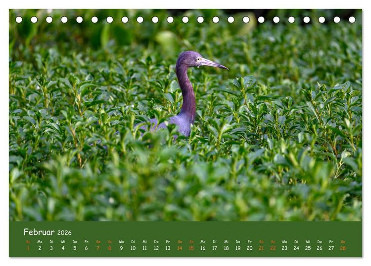 Produktbild: Costa Rica - Naturparadies zwischen Karibik und Pazifik (Tischkalender 2026 DIN A5 quer), CALVENDO Monatskalender