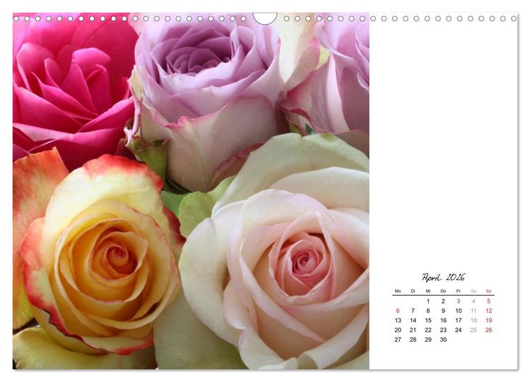 Produktbild: Die vielen Gesichter der Rosen (Wandkalender 2026 DIN A3 quer), CALVENDO Monatskalender