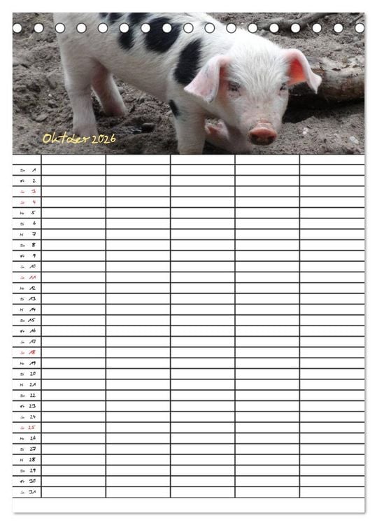 Produktbild: Bauernhoftiere Familienplaner (Tischkalender 2026 DIN A5 hoch), CALVENDO Monatskalender