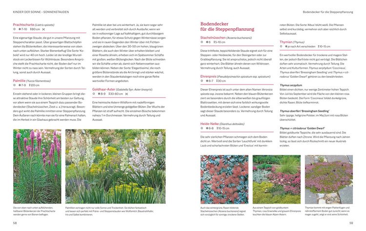 Produktbild: Das BLV Handbuch Stauden