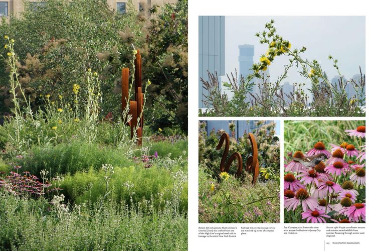 Produktbild: Gardens of the High Line