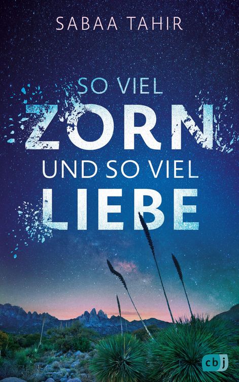 Produktbild: So viel Zorn und so viel Liebe