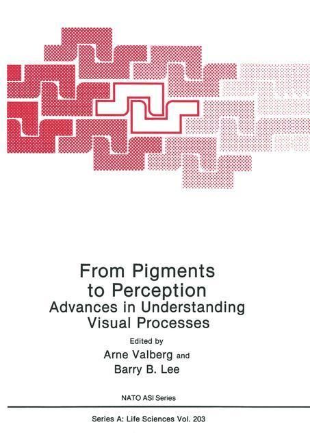 Produktbild: From Pigments to Perception