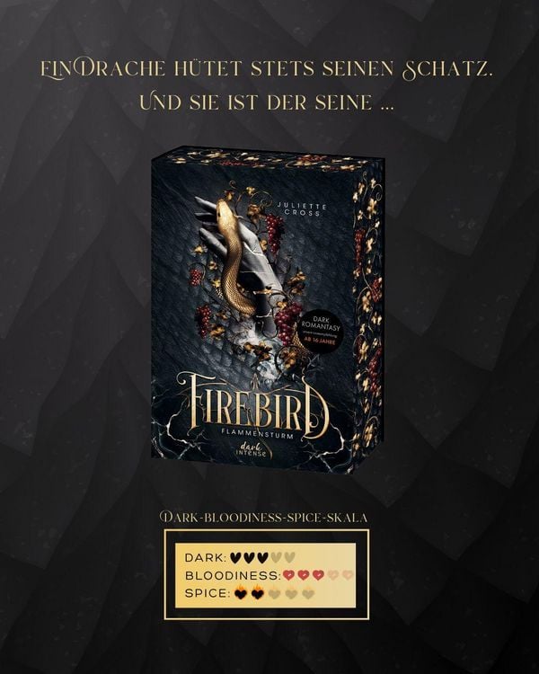 Produktbild: Flammensturm (Band 1) - Firebird