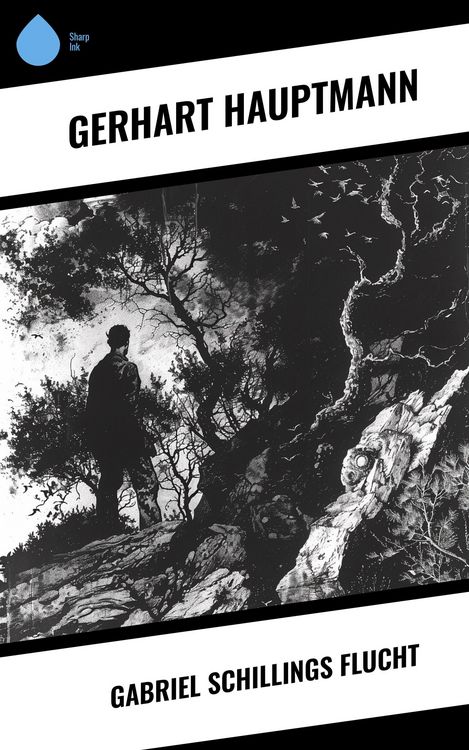 Produktbild: Gabriel Schillings Flucht
