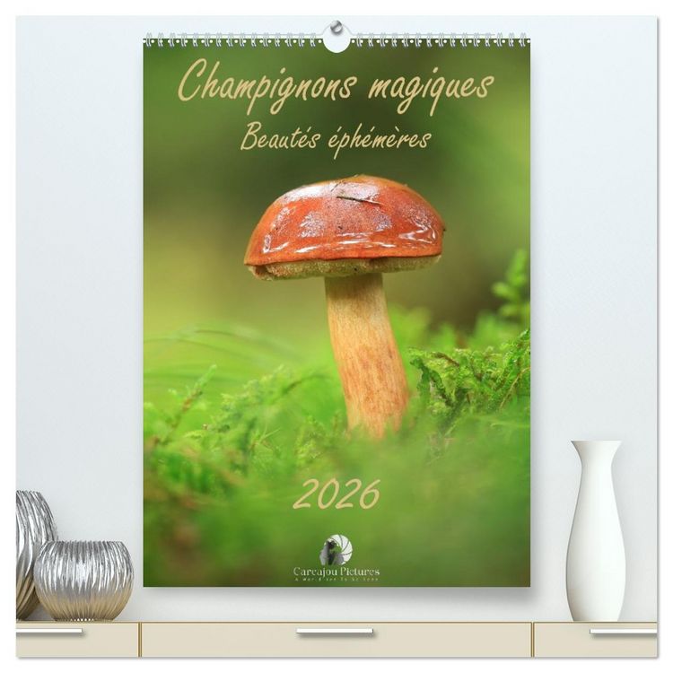 Produktbild: Champignons magiques - Beaut&eacute;s &eacute;ph&eacute;m&egrave;res (Calendrier mural 2026 DIN A2 horizontal) calendrier de bureau
