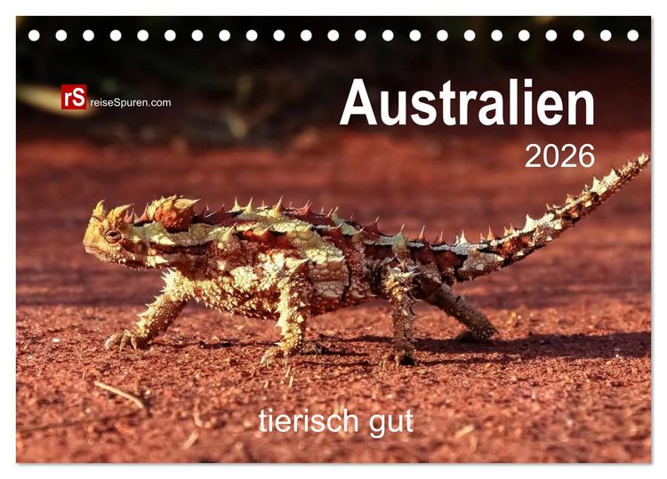Produktbild: Australien tierisch gut 2026 (Tischkalender 2026 DIN A5 quer), CALVENDO Monatskalender