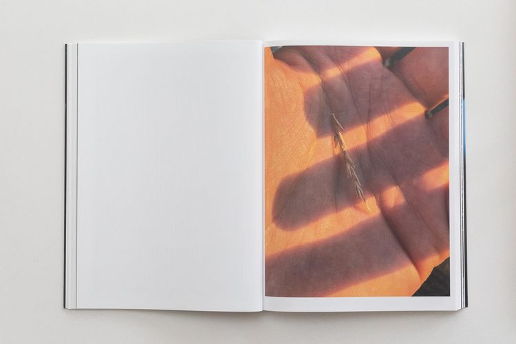 Produktbild: Paul Hutchinson