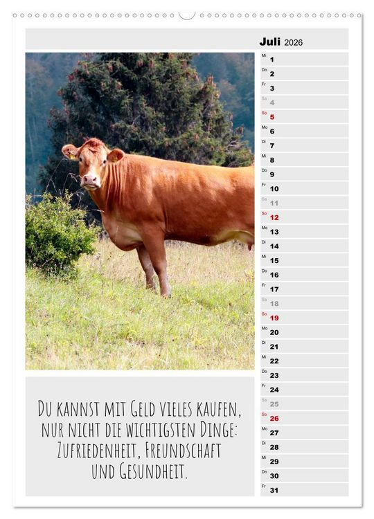 Produktbild: Coole Rindviecher (hochwertiger Premium Wandkalender 2026 DIN A2 hoch), Kunstdruck in Hochglanz