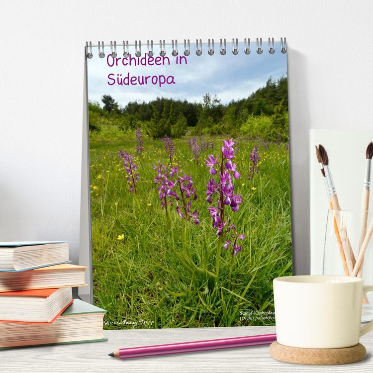 Produktbild: Orchideen in S&uuml;deuropa (Tischkalender 2026 DIN A5 hoch), CALVENDO Monatskalender