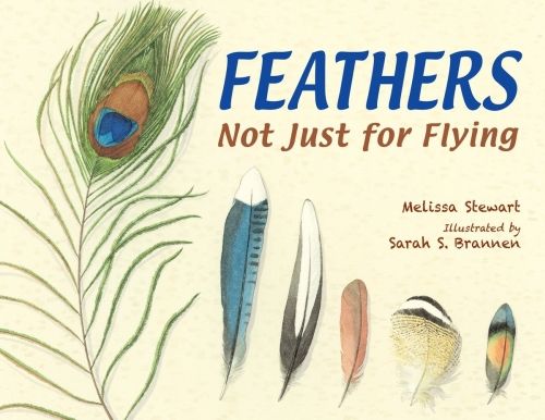 Produktbild: Feathers