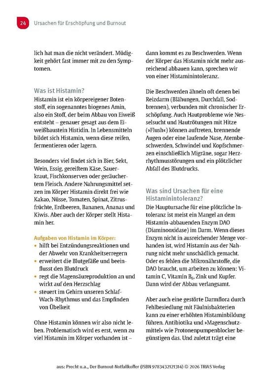 Produktbild: Der Burnout-Notfallkoffer