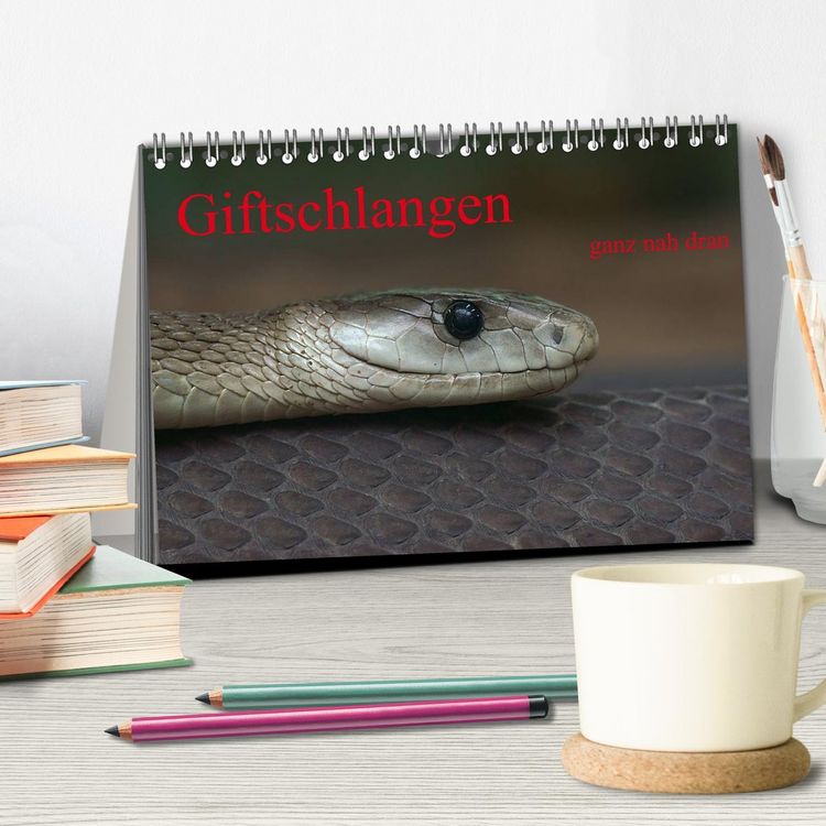 Produktbild: Giftschlangen, ganz nah dran (Tischkalender 2026 DIN A5 quer), CALVENDO Monatskalender