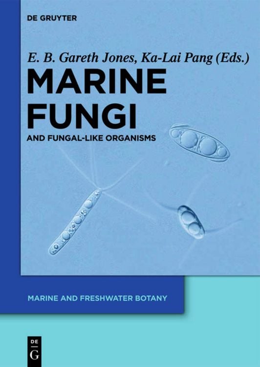 Produktbild: Marine Fungi