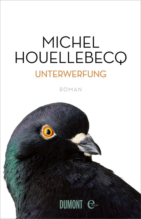 Produktbild: Unterwerfung