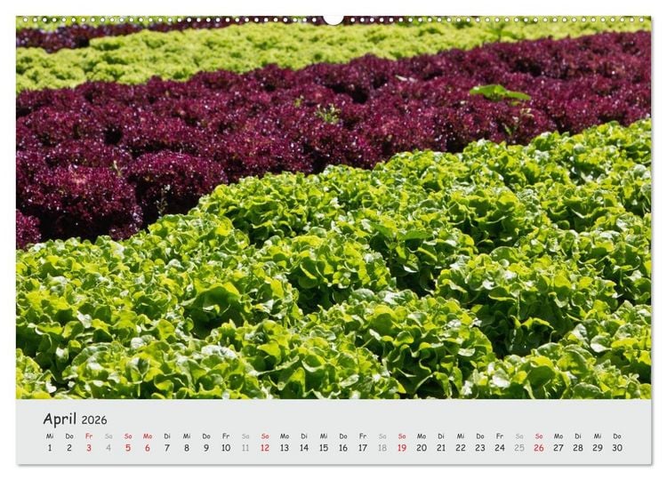 Produktbild: Insel Reichenau - Klosterinsel im Bodensee (hochwertiger Premium Wandkalender 2026 DIN A2 quer), Kunstdruck in Hochglanz