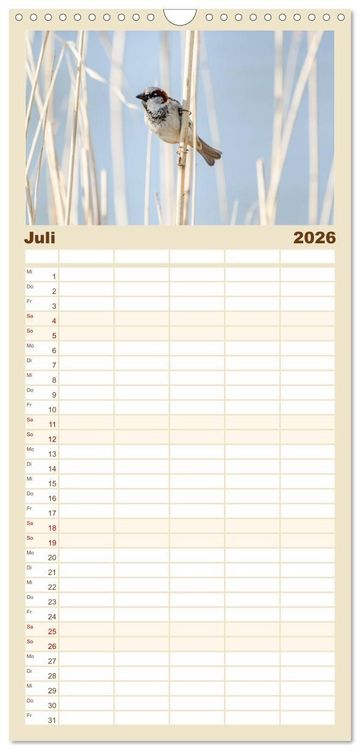 Produktbild: Familienplaner 2026 - Spatzen mit 5 Spalten (Wandkalender, 21 x 45 cm) CALVENDO